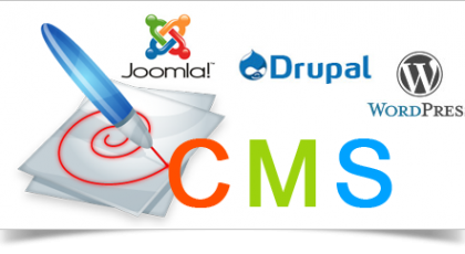 CMS Web Development