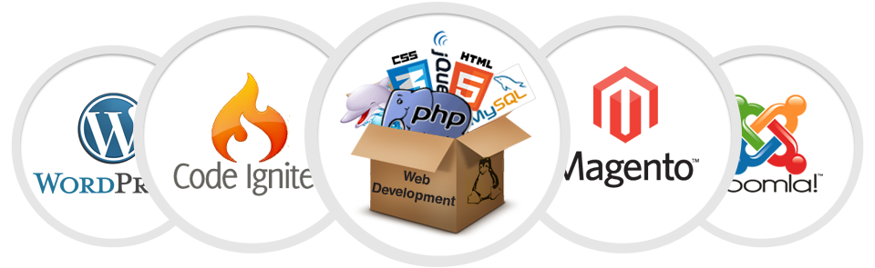 web-development-trichy